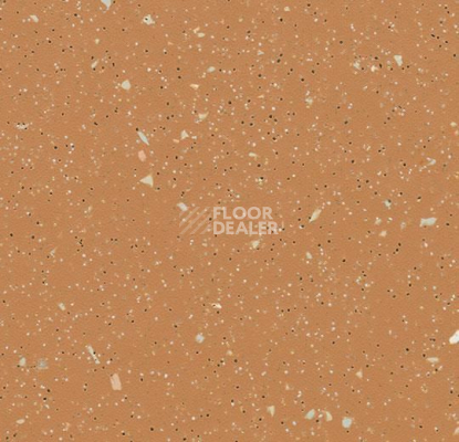 Линолеум Forbo SureStep Original 172682 terra фото 1 | FLOORDEALER